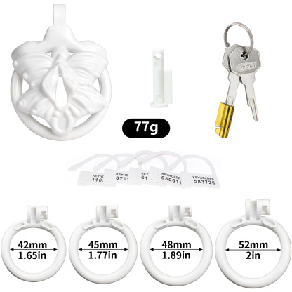 3D Printed Resin Male Chastity Device 